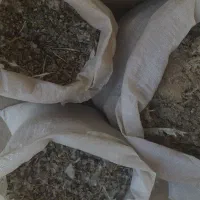 کود کبوتر|گل و گیاه طبیعی|ساوه, |دیوار