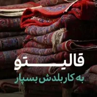 قالیشویی ومبل شوی یاقوت|خدمات نظافت|زاهدان, |دیوار