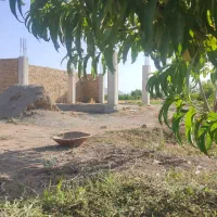 فروش باغ ۴ ساله