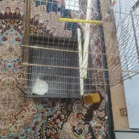 وسایل پرنده