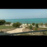 واحد دو خواب نوبنیاد سه     خانم نفیسی