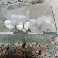 اکواریوم