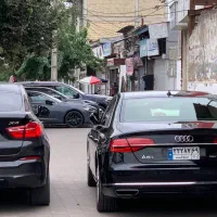 نقاشی،پولیش،لیسه گیری حرفه ای