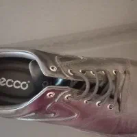 کفش مردانه|کیف، کفش، کمربند|سنندج, |دیوار