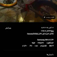 موتورتریل برمودا