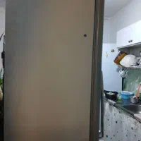 یخچال فریزر نگین دو در