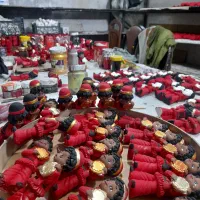 نیرو ساده خانم