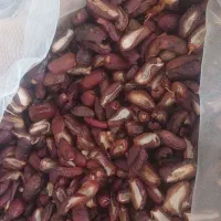 فروش انواع خرما تازه امسال نمایشگاه سیرجان|خوردنی و آشامیدنی|سیرجان, |دیوار