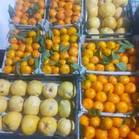 میوه و مرغ فروشی روستای بیاشوش|خوردنی و آشامیدنی|جوانرود, |دیوار