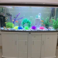 فروش اکواریوم  وارداتی شرکتی ماهیران اصلی