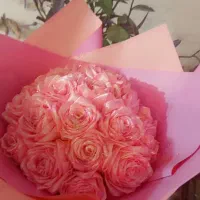 کسی خواست لطفا پیوی پیام بدهد