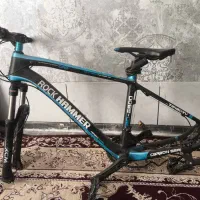 دوچرخه حرفه ای