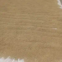 چلتوک