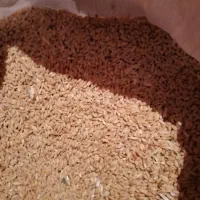 گندم|لوازم جانبی حیوانات|زنجان, |دیوار