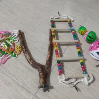 لوازم پرنده