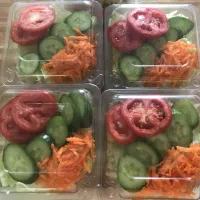سالاد/ژله تک نفره ویژه با کیفیت و مناسبترین قیمت