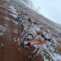 دوچرخه 26|دوچرخه، اسکیت، اسکوتر|صحنه, |دیوار