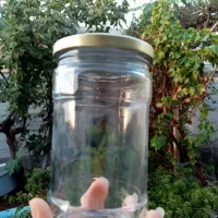 شیشه درب فلزی