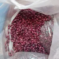 سود بیشتر قیمت کمتر