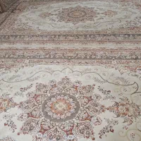 فرش شیش متری|فرش|کرمانشاه, |دیوار