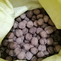 فروش گردو اشکور + بادام آستانه