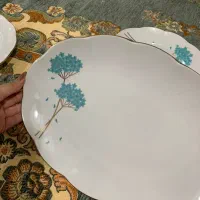 ست چینی|ظروف سرو و پذیرایی|رشت, پاره بیجار|دیوار