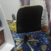 میز و صندلی|مبلمان اداری|اردبیل, |دیوار