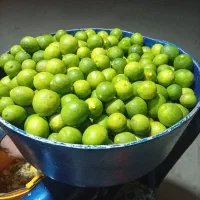 لیمو آبگیری درشت دست چین