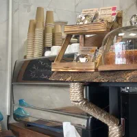 باریستا خانم