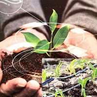 نوارتیپ سبزآب|خدمات باغبانی و درختکاری|اصفهان, بهارستان|دیوار