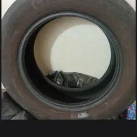 CHAO YANG|حراج|رشت, نامجو|دیوار