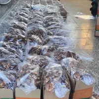 خرمای شاهانی خاوران درجه یک ارسال مستقیم از باغدار|خوردنی و آشامیدنی|شیراز, لاله|دیوار