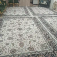4 تخته فرش پاتریس 700 شانه کاملا سالم و نو|فرش|تهران, آذری|دیوار