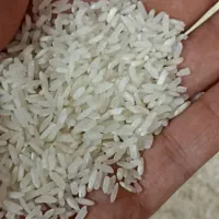 برنج اقتصادی