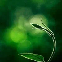 مرکز امید باران