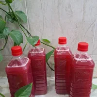 انار|خوردنی و آشامیدنی|میبد, |دیوار