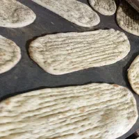 بربری نان شاطری