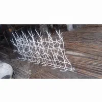 حفاظ دیوار نرده سه شاخ حفاظ روی دیوار بوته ای|خدمات پیشه و مهارت|مشهد, الهیه|دیوار