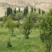 نیروی سرایدار و نگهبان نیاز مندیم