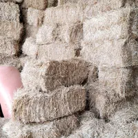 خوراک دام حسین.کاه پرس