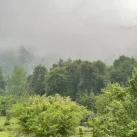 زمین 295 متری سند تکبرگ جاده ییلاقات ماسال