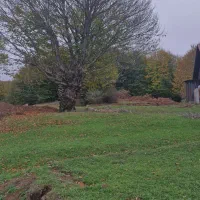 فروش زمین به مساحت ۳۲۳متر اجازه ساخت