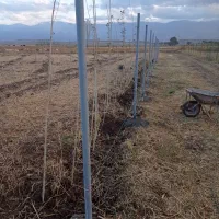 حصار کشی دور باغ