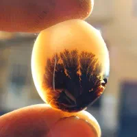 نگین  شجر  عقیق   انگشتر|جواهرات|شیراز, ریاستی|دیوار