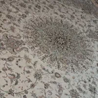 روفرشی سالم ۱۲متری|روفرشی|قرچک, مهدیه|دیوار