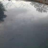 پژو405جی ال آی ۸۳|خودرو سواری و وانت|یامچی, |دیوار