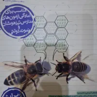 کتاب کمک درسی علوم نهم خیلی سبز