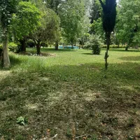 آشپز ماهر برای رستوران کافه باغ دهکده خانوادگی