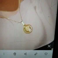 طلای گمشده در پارک محمدی