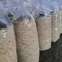 فروش تفاله چغندر